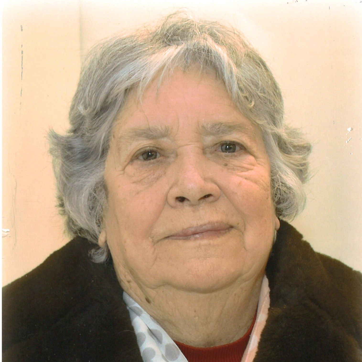 Maria Fernanda Soares Dias