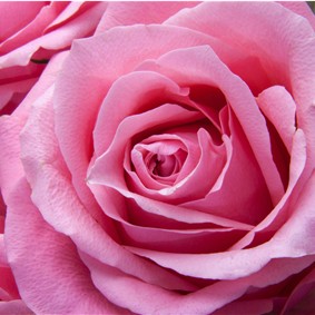 Maria Madalena Gon�alves Queiroz da Silva Andr�